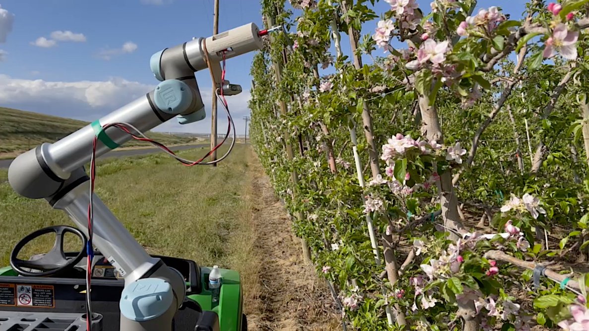 Check this out! Great research efforts on how effectively integrate harvesting, pruning, pollination, and thinning robot systems into existing farm workflows. Videos: Robots in orchards | <a href="/wsmagazine/">Washington State Magazine</a> lnkd.in/gcgRsiJk #research #robots #agriculture