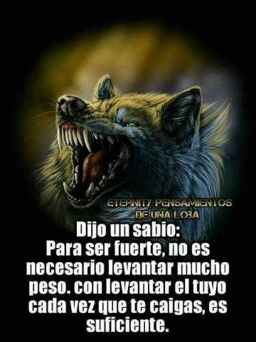 Miriam_Chavez7's tweet photo. 😎 https://t.co/kzbpxBbkok