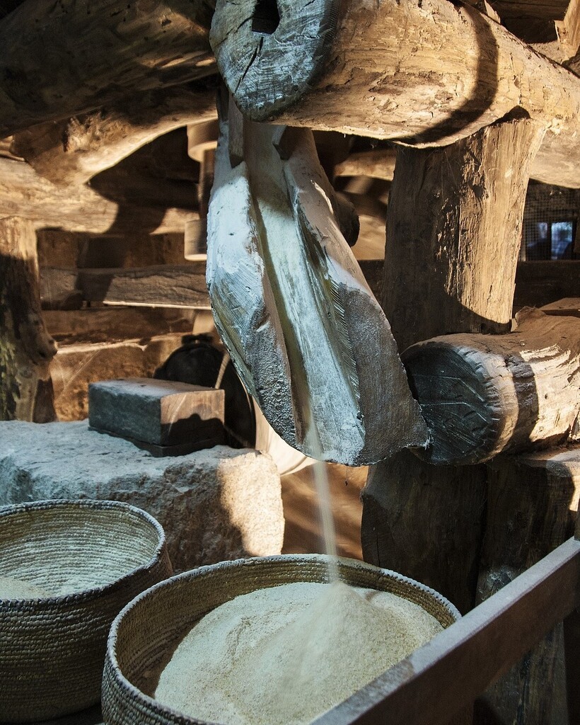 AutunnoBarbagia's tweet photo. A pochi minuti dal paese di #Olzai si trova "Su mulinu vezzu", un antico mulino ad acqua inserito in una splendida vegetazione. 

La struttura ci aiuta a ricordare l'economia di un tempo, quando il paese era tra i più attivi dell'Isola nella produzione d… https://t.co/piHi27ybsp https://t.co/rcwDuAQXOR