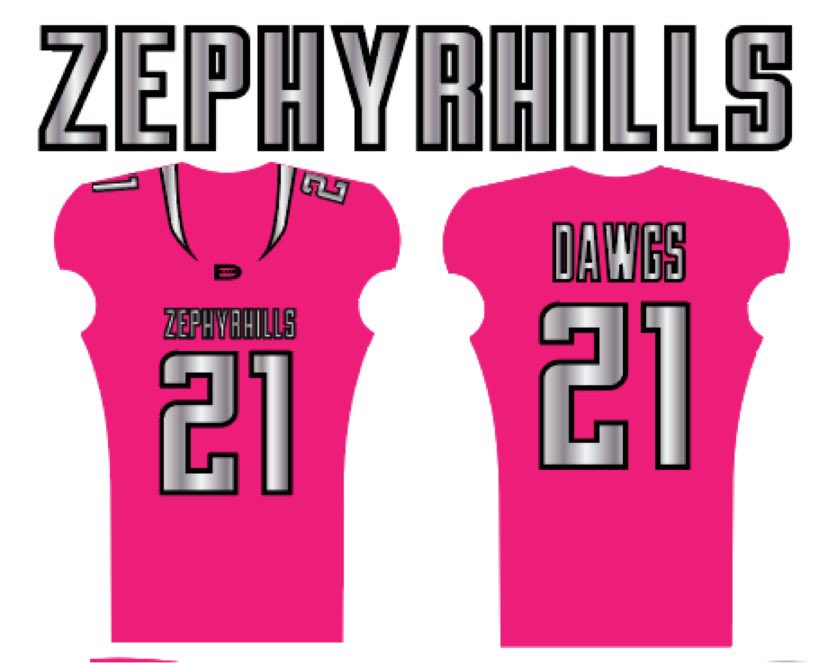 If everyone on my Timeline donated $1 We could get these Uniforms for my League… #WhoGotMe#BreastCancerAwareness#PinkOut#💕🖤💕🖤💕🖤 cash app $zaldawgs please make sure u make it known,, its for pink out uniforms… Thank u in advance