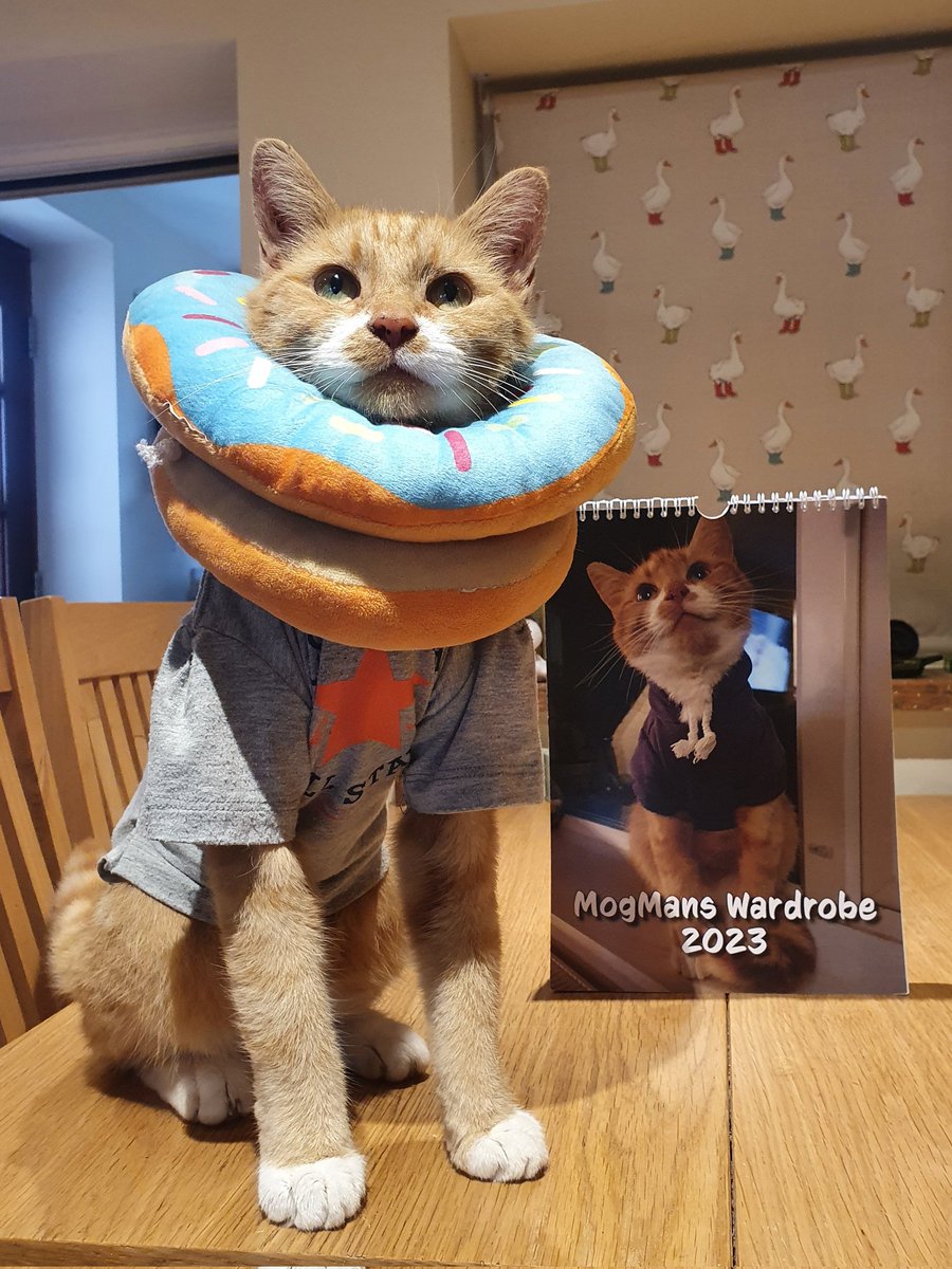 MogmansWardrobe's tweet photo. Woo-Hoo! It has arrived!
Lady Human collected the prototype for my 2023 Charity calendar, &amp; I am thrilled with it! I couldn't wait to give you a sneak preview!
Keep an eye out as I will be posting soon with the information on ordering!
#CatsofTwittter #cat #charity #fundraiser https://t.co/0khyGAu23M