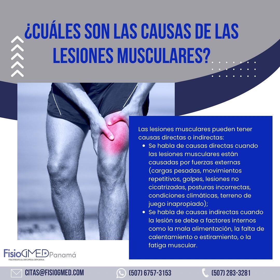 fisiogmed's tweet photo. Las lesiones musculares son lesiones de la estructura muscular de nuestro cuerpo y están causadas por un exceso de esfuerzo durante las prácticas deportivas, pero pueden presentarse en otros ámbitos de la vida cotidiana.
Pueden producirse en todas la fibras o parte de ellas. https://t.co/Z8hsBaVzvl