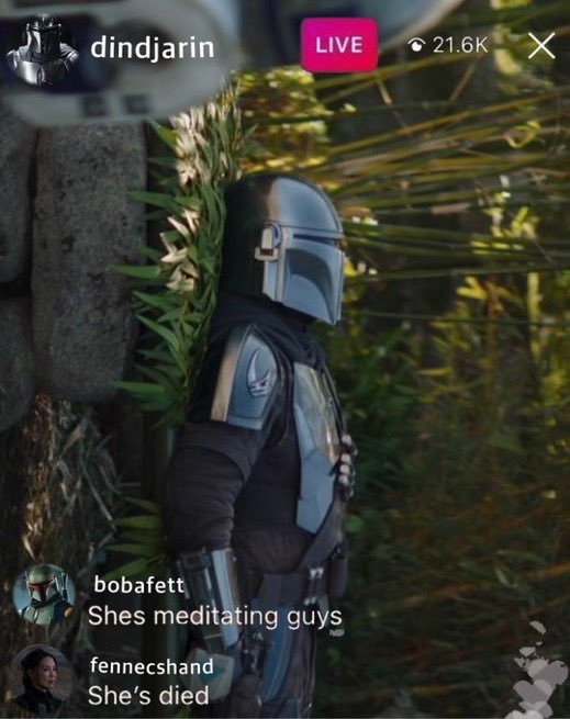 Star Wars Reaction Pics (@swreactpics) on Twitter photo Submission by <a href="/cyankyber/">em ā¾ andor era</a>
Din Djarin, on live, laying down
Boba Fett - "She's meditating guys"
Fennec Shand -"She died" Submission by <a href="/cyankyber/">em ā¾ andor era</a>
Din Djarin, on live, laying down
Boba Fett - "She's meditating guys"
Fennec Shand -"She died"
