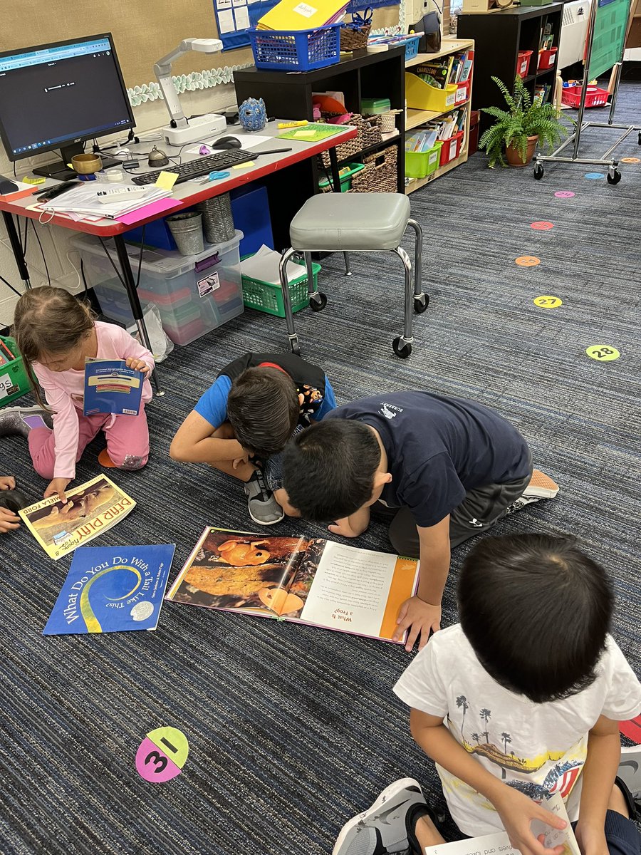 Washington School tweet media