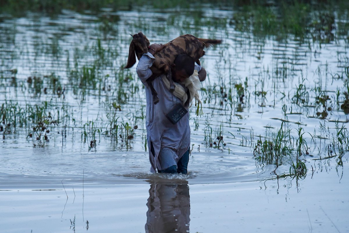 AJ+ (@ajplus) on Twitter photo Floods in Pakistan have killed over 900 people since June, with 500-700% more rain than usual.
Officials call it a "climate-induced disaster."
Pakistan produces less than 1% of global carbon emissions but is one of the countries most vulnerable to the climate crisis. Floods in Pakistan have killed over 900 people since June, with 500-700% more rain than usual.
Officials call it a "climate-induced disaster."
Pakistan produces less than 1% of global carbon emissions but is one of the countries most vulnerable to the climate crisis.