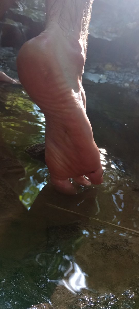 _MBfeet's tweet photo. Stópki zmoczone. Tak samo jak wasze małe, śmierdzące fiuty i przepocone, zakisiałe cipy na ich widok.

#feet #stopy #footfetish #malefeet #feetworship #paypig @rt_socks @findompl @rtfeetslave1 @rtfindom https://t.co/D4awMKUoie