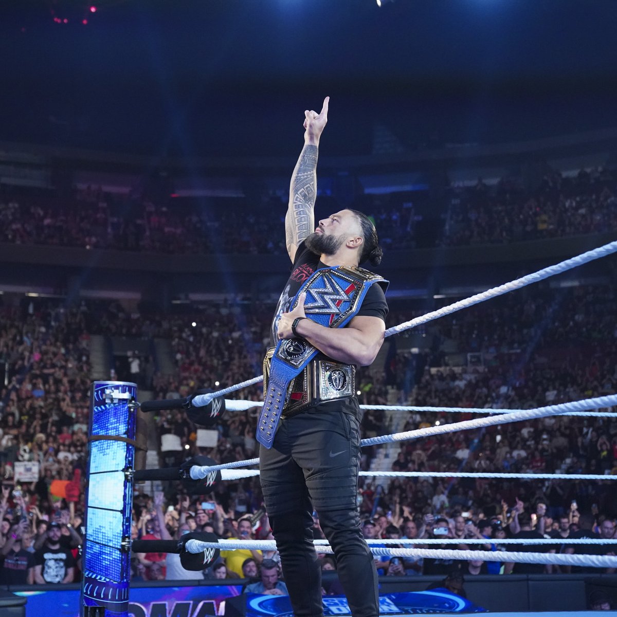 The Only ☝️

<a href="/WWERomanReigns/">Roman Reigns</a>