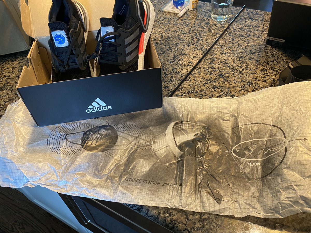 Lucie Low tweet media