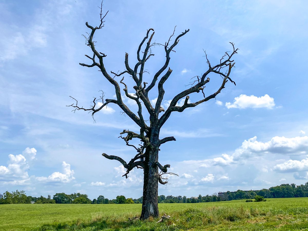 Just chilling at the big Black Rock…memorable places boys! See ya tomorrow! IA->MD <a href="/ofarevolution/">O.A.R.</a>