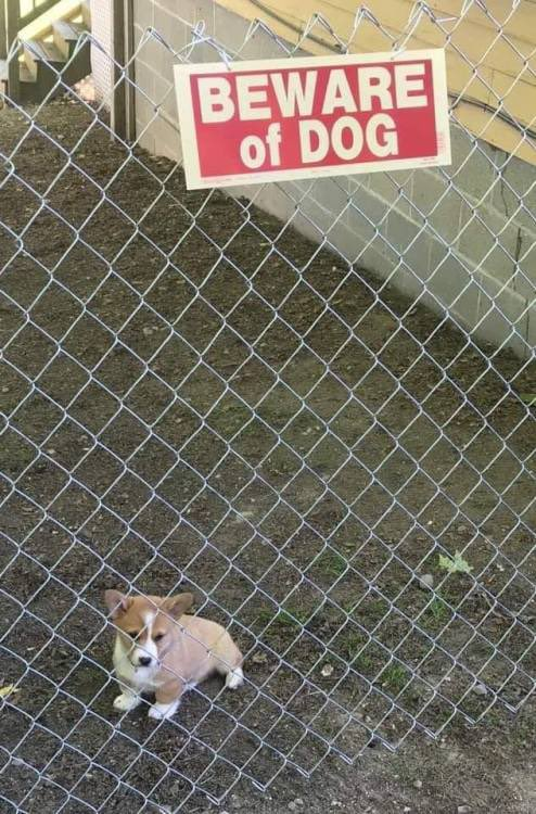 WholesomeMeme's tweet photo. https://t.co/k7Lz72G2U3