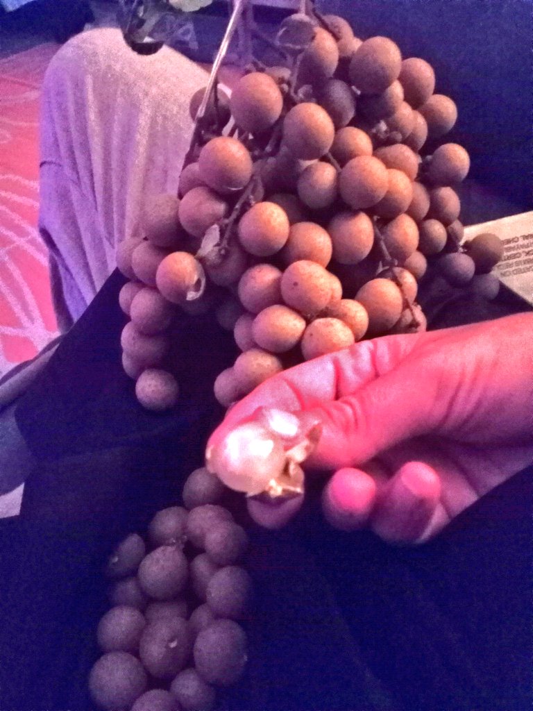 PreserveRural's tweet photo. @Yahmesun13ey Harvested a good basket full of the fruits, mighty tasty fresh N juicy, eye give great Thanks for this tree 🌳ELohymn works great wonders providing moor of natures blissings https://t.co/ShFgxJn4K2