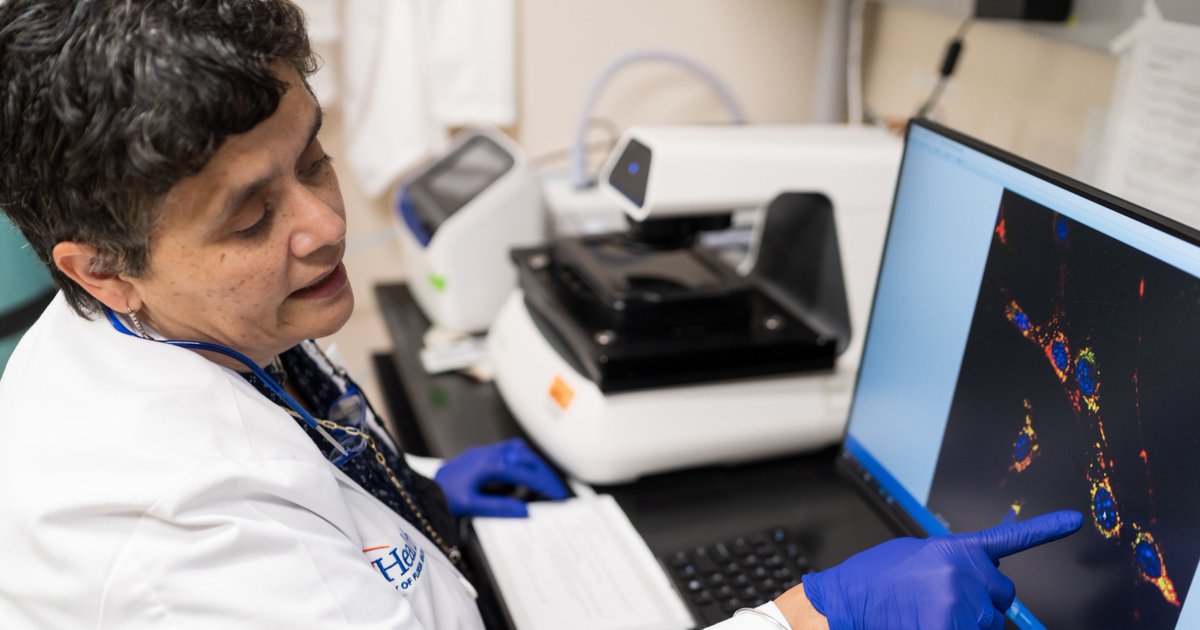 UFMBI's tweet photo. Under a new NIH/NINDS grant, a multi-institution research team co-led by @UF neuroscientist Dr. @MaluTansey will launch 5-year project investigating possible links between the immune system &amp; neurodegeneration in frontotemporal dementia. 

Read more: https://t.co/67MwARvveH https://t.co/lB6cMrvyAW