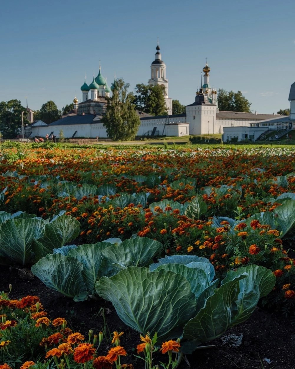 Монастырский огород