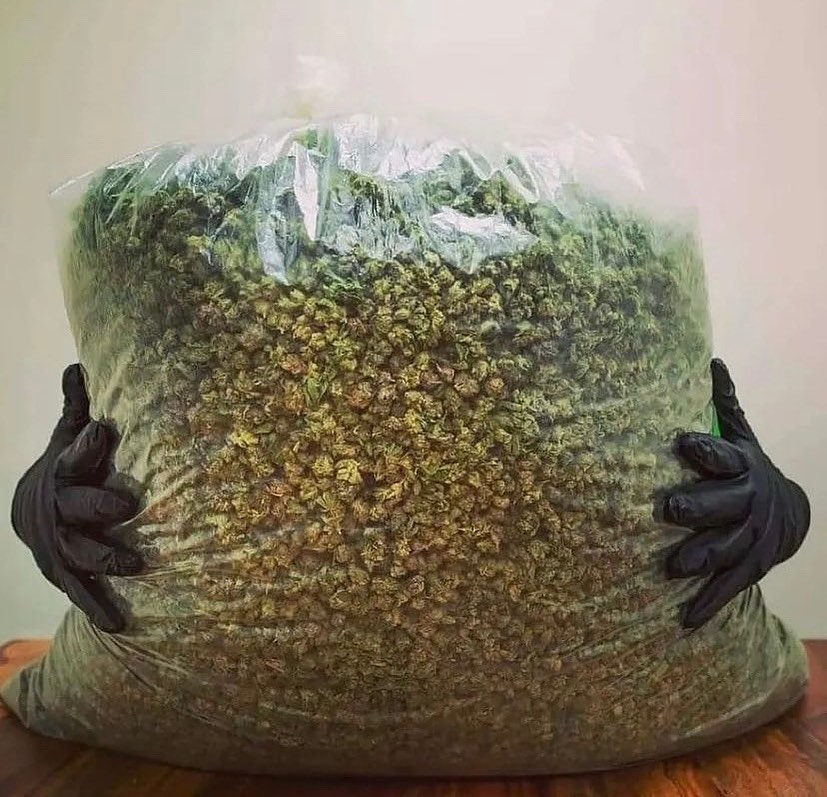 Herbworthy's tweet photo. The hug we all need after a long week. 🍃 https://t.co/rRmPWgHgx3