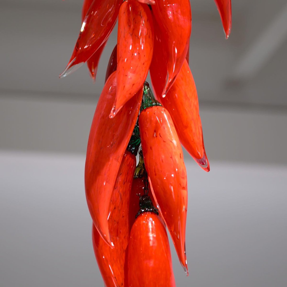 BlownAwaySeries's tweet image. Team Dan and Minhi bringing that 🔥hot &amp;amp; spicy 🌶