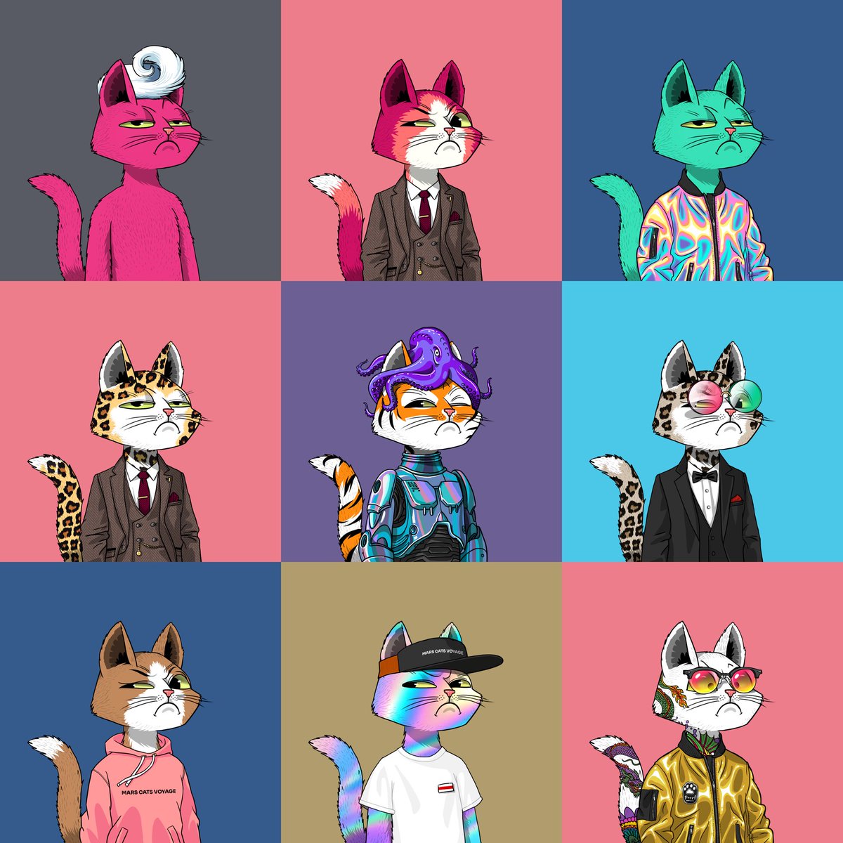 AndrewDamen's tweet photo. My @MarsCatsVoyage Grumpy Gang! #GangGang #MCV #Caturday https://t.co/u4guQw0fsZ