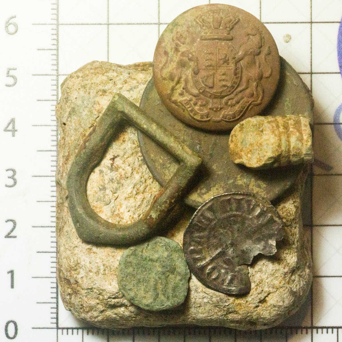 sarah walker tweet media