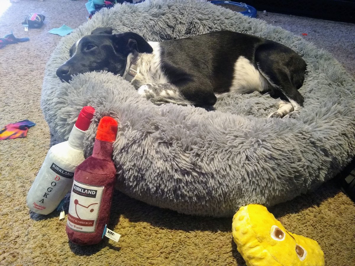 Steve-EILFM Podcast tweet media