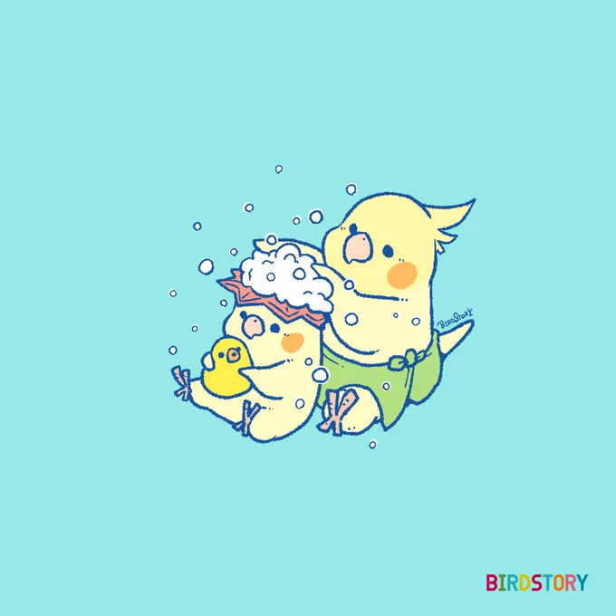 おはようございます。本日は8月26日、語呂合わせからパパフロの日とのことです#BIRDSTORY #オカメインコ 