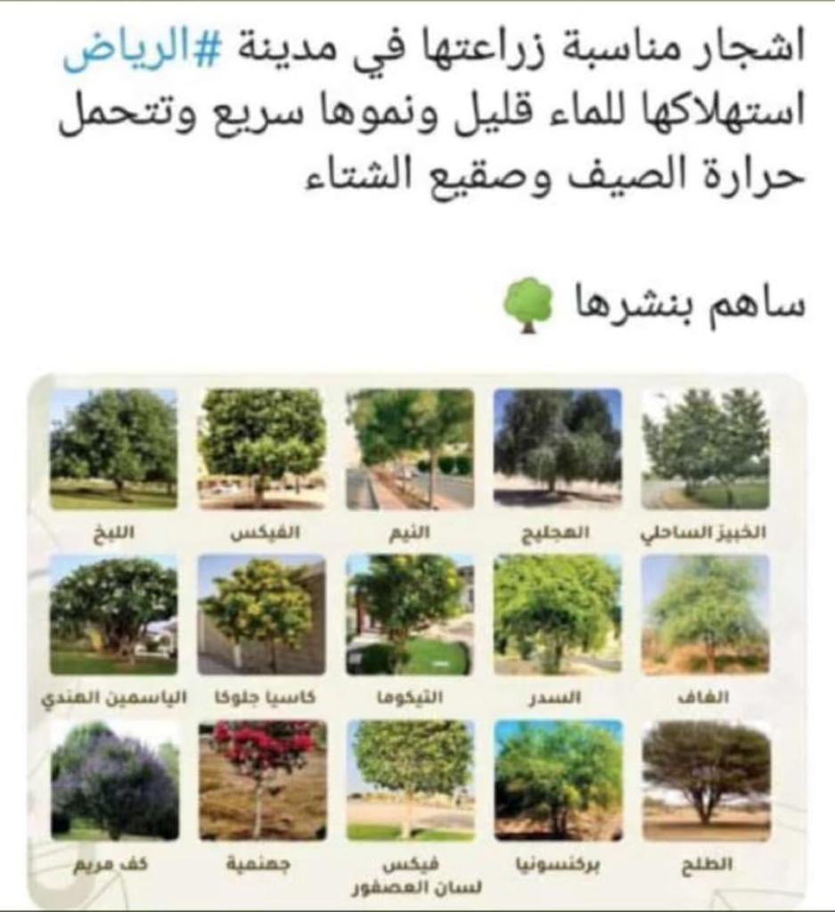 Farmandfarmer's tweet photo. أشجار مناسب زراعتها في منطقة الرياض لتحملها للحرارة والعطش من حساب المميز @أبوأريج https://t.co/QGKOrkhOtB