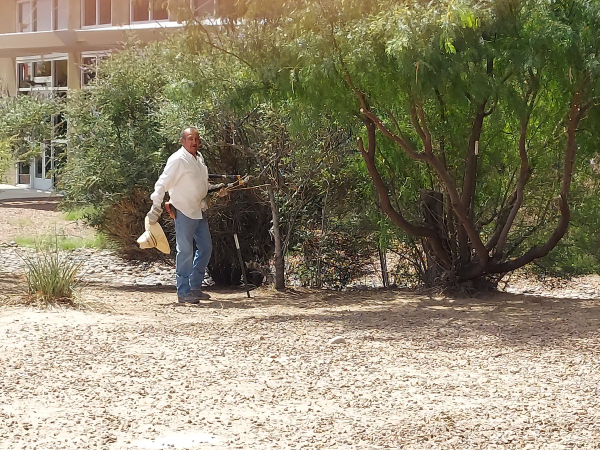 TISD M &amp; O always keeping our schools looking Great!
