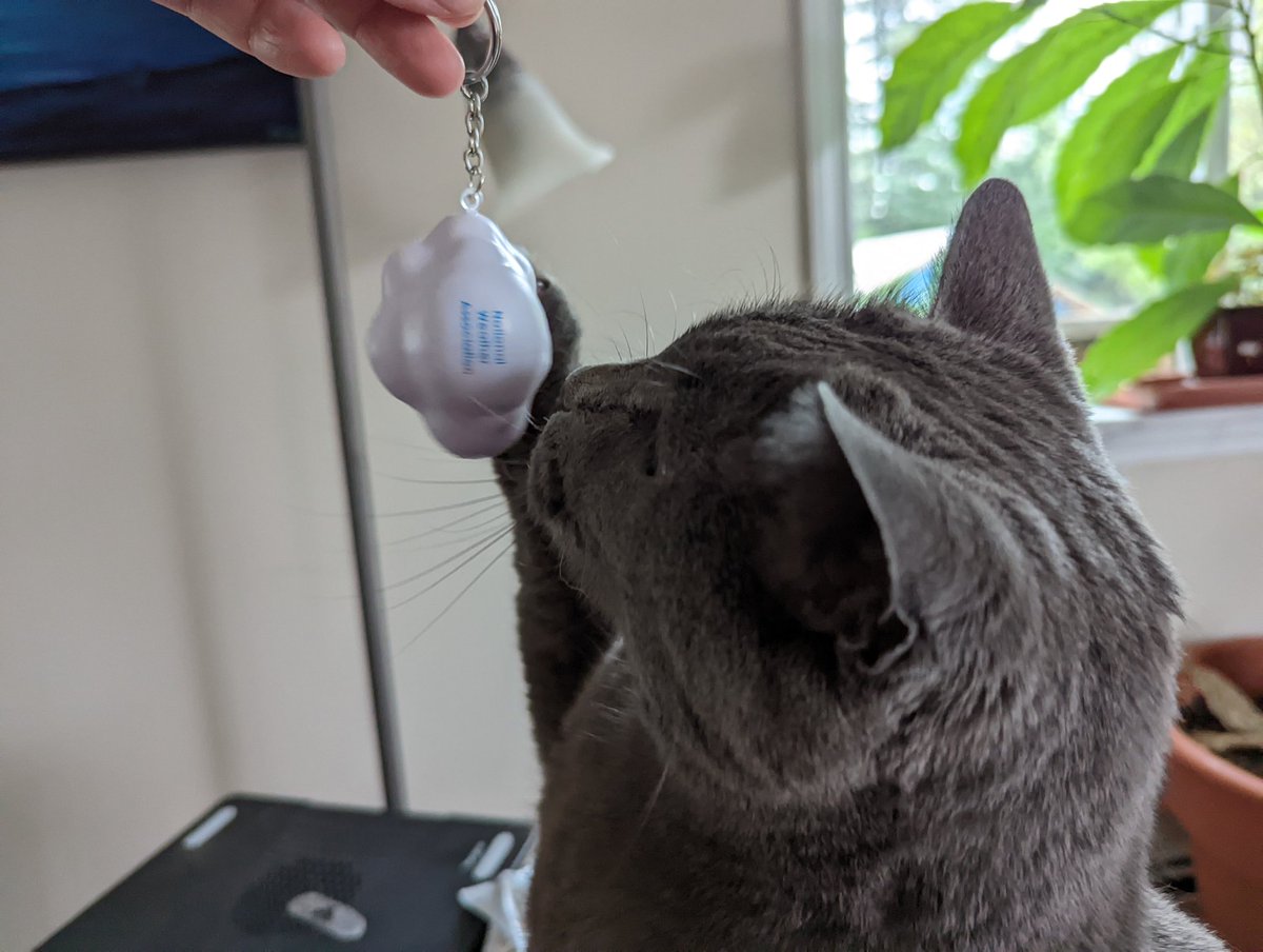 And of course, Simon determined that the cool <a href="/nwas/">National Weather Association</a> cloud is his new toy. 😹