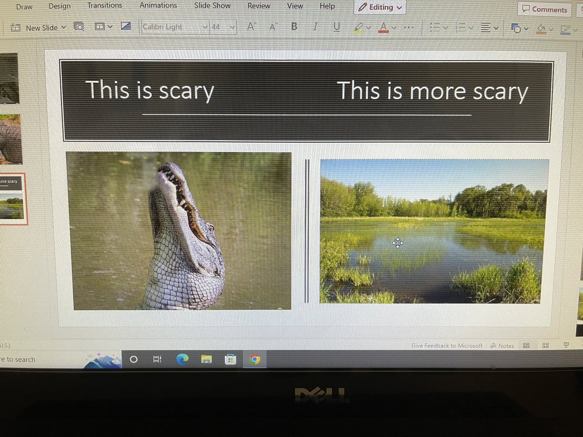 Savannah Mixson tweet media