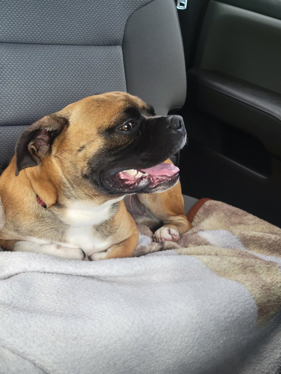 Sheranda Watts tweet media