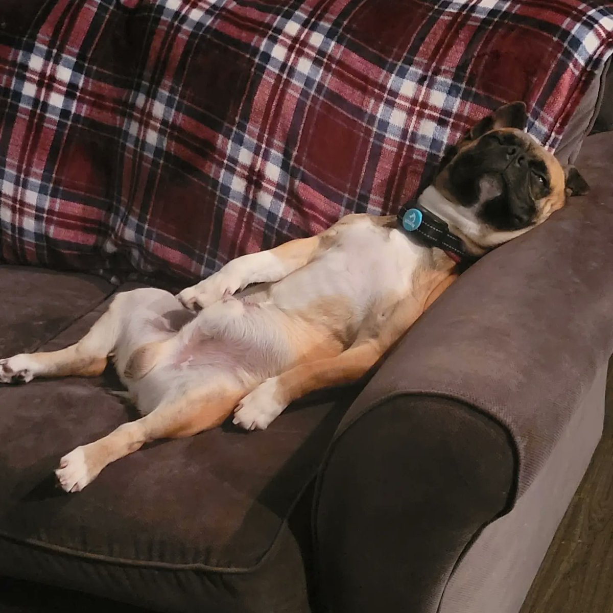 Sheranda Watts tweet media