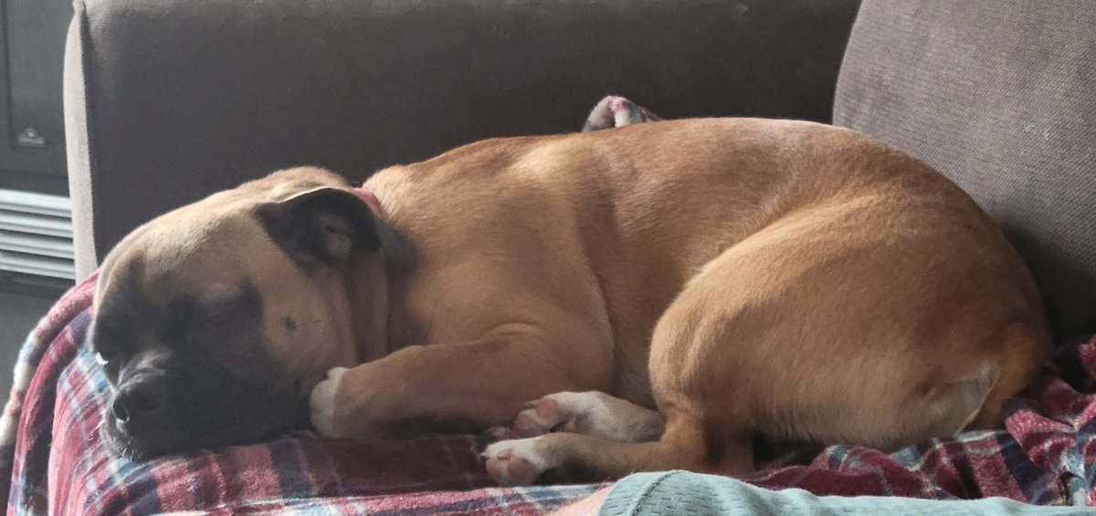 Sheranda Watts tweet media