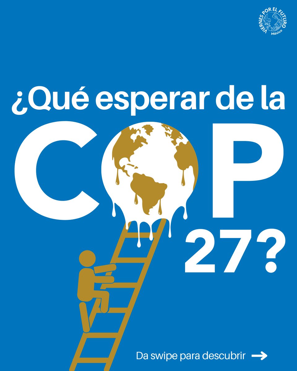 fffmex's tweet photo. ¿Por qué participaremos en la COP27?

Te lo contamos aquí.  🧵 https://t.co/QJOBZskLzH