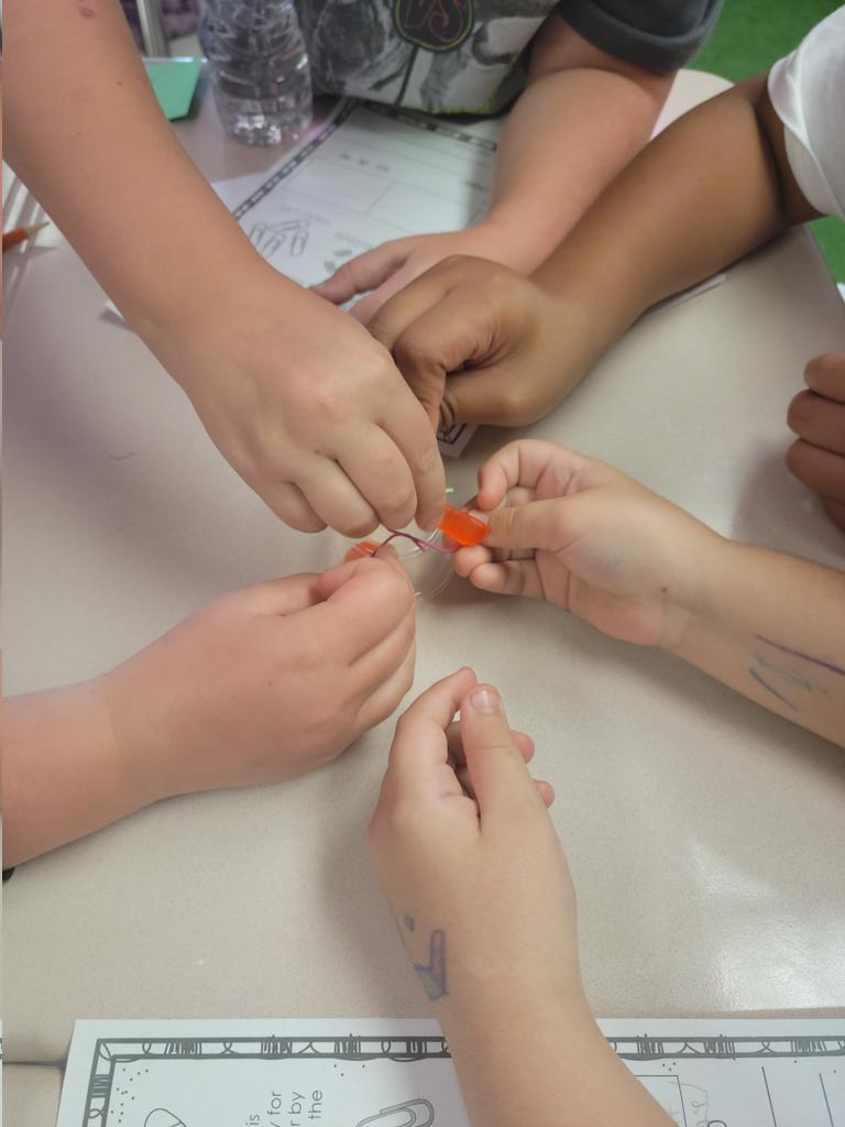 MissFlowers_MEA's tweet photo. Nothing like saving Fred on the first day @MeadowlandElem https://t.co/geJUo0SlTo