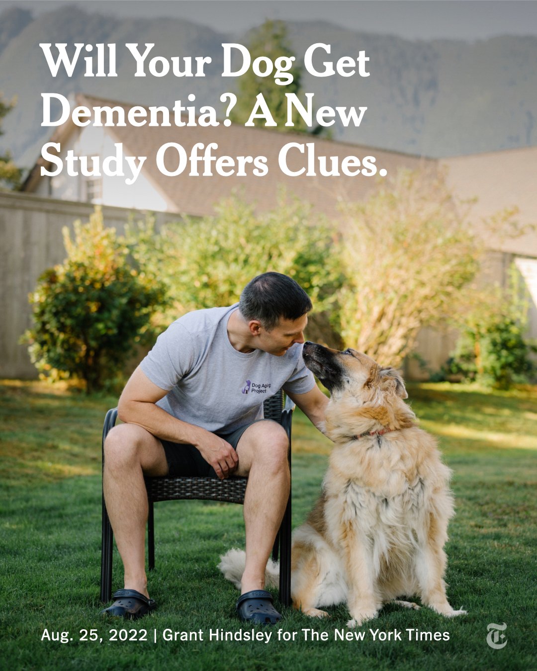 The New York Times on Twitter "Canine cognitive dysfunction