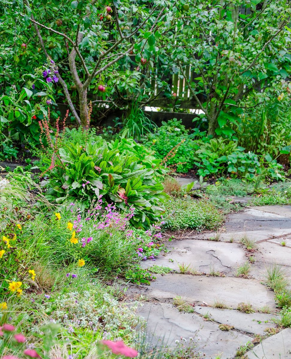mariposagardens's tweet photo. #fruittreeguild #mariposagardening #flowers #stonework #sfviews #pollinatorgardens #nature #habitatgardens #drystackedstone #bayarea #plants #landscaping #landscapearchitecture #landscape #instagarden #gardens #gardenlove #gardenlife #garden #designโฃ #outdoor #photooftheday https://t.co/HcC6oExEbD