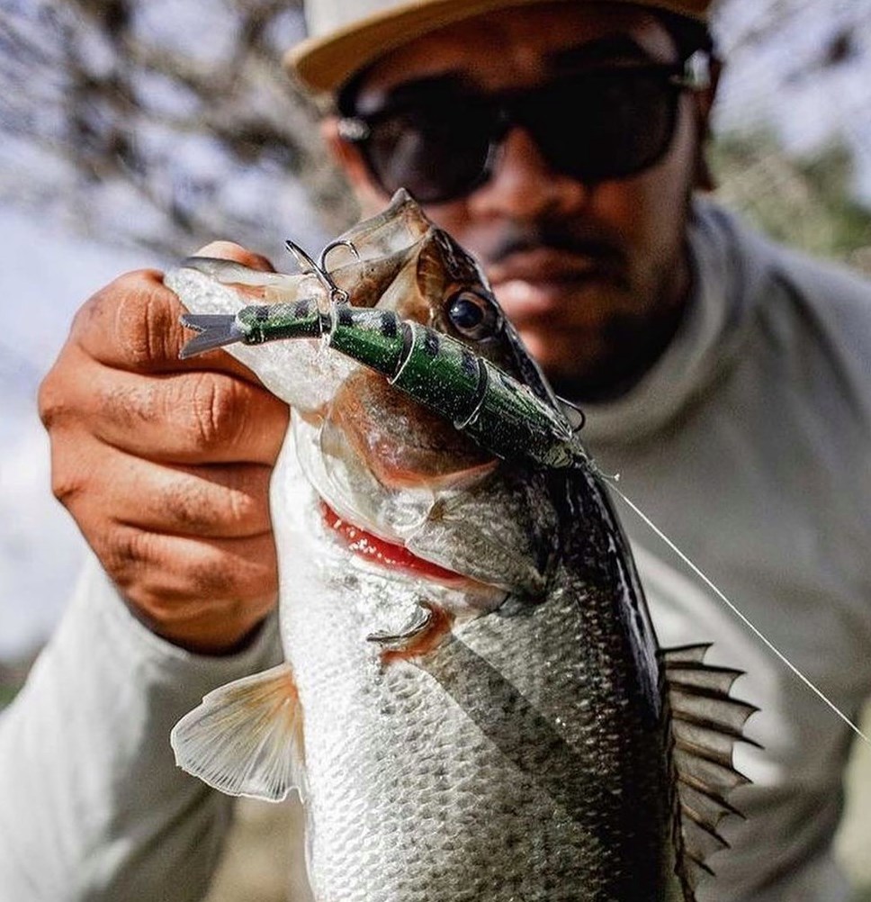 The Baby Bull Gill doin work for fishinwithmcfly! Who else is going to throw one around this season?