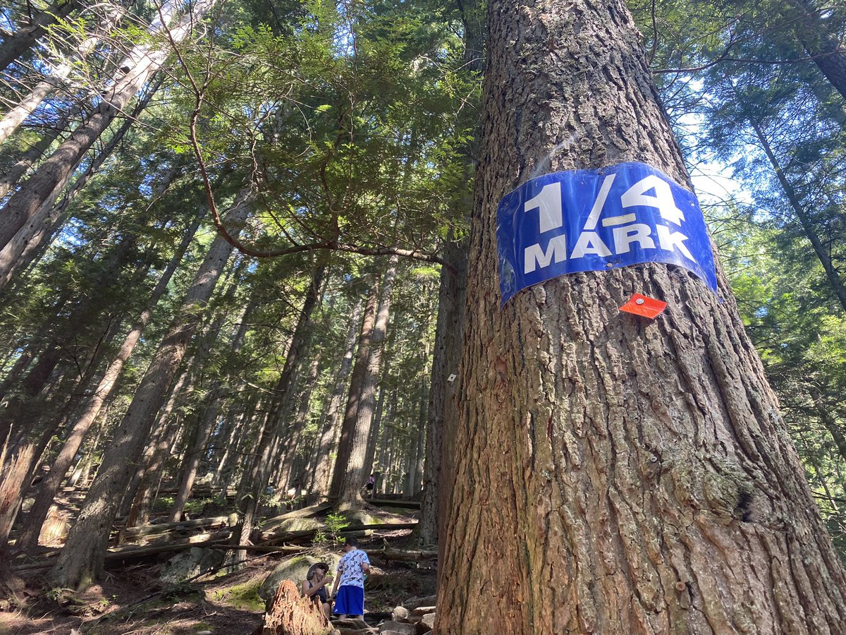 courtghoward's tweet photo. I wonder how many people are happy at this point :)
#TypeIIFun #GrouseGrind. https://t.co/wJVPsOG8t8