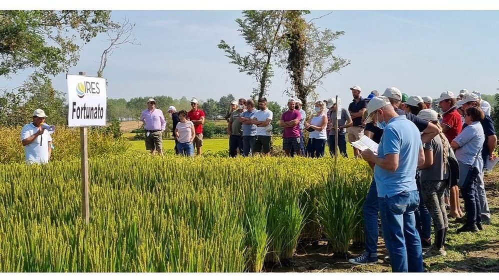 Save these dates to see the IRES rice varieties for 2023! ires.online/post/prossimi-…