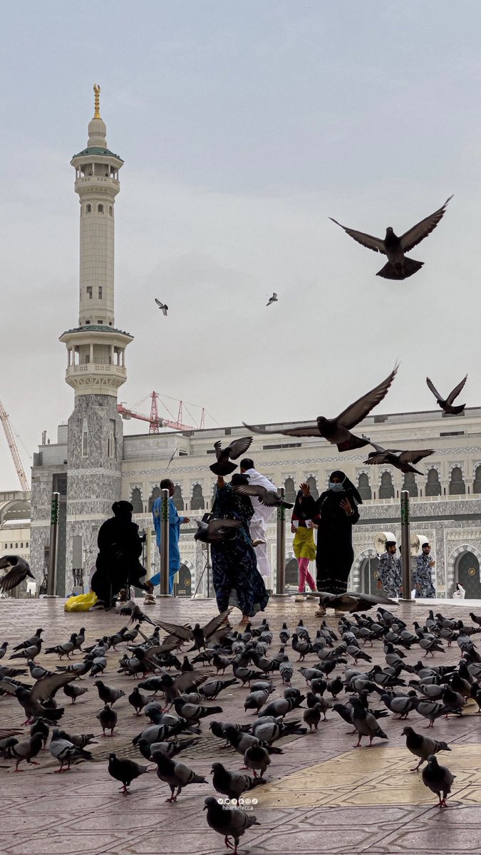 صلَّى عليكَ اللهُ ما بَسَمَتْ لنا
شمسٌ وما احتجبتْ بأستارِ الغَمَامْ

يا ربِّ فاجمعنا غدًا بنبيِّنا
في جنةٍ فيها الحَياةُ بلا سِقَام 🤍.
