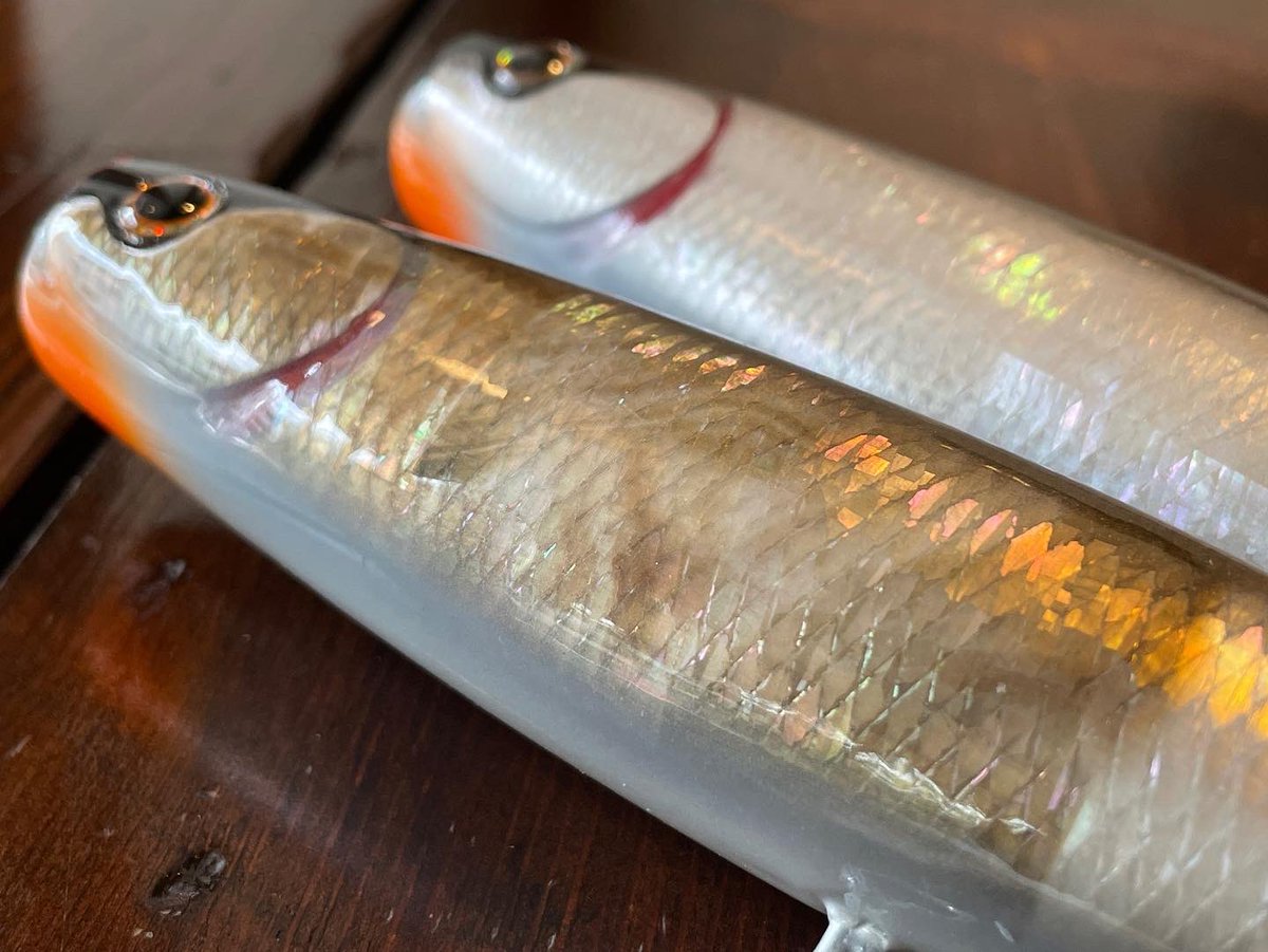 hage_fishing's tweet photo. Kikuchi.M craft
Bubble Swimmer (バブルスイマー) 180
シェルバージョン
白蝶貝 / 黒蝶貝
オンラインショップからも ご購入いただけます
https://t.co/nw78KBTXLb
#hage #fishing #fishingtackle #tokyo
#bubbleswimmer #バブルスイマー https://t.co/HEAxXzFM6n