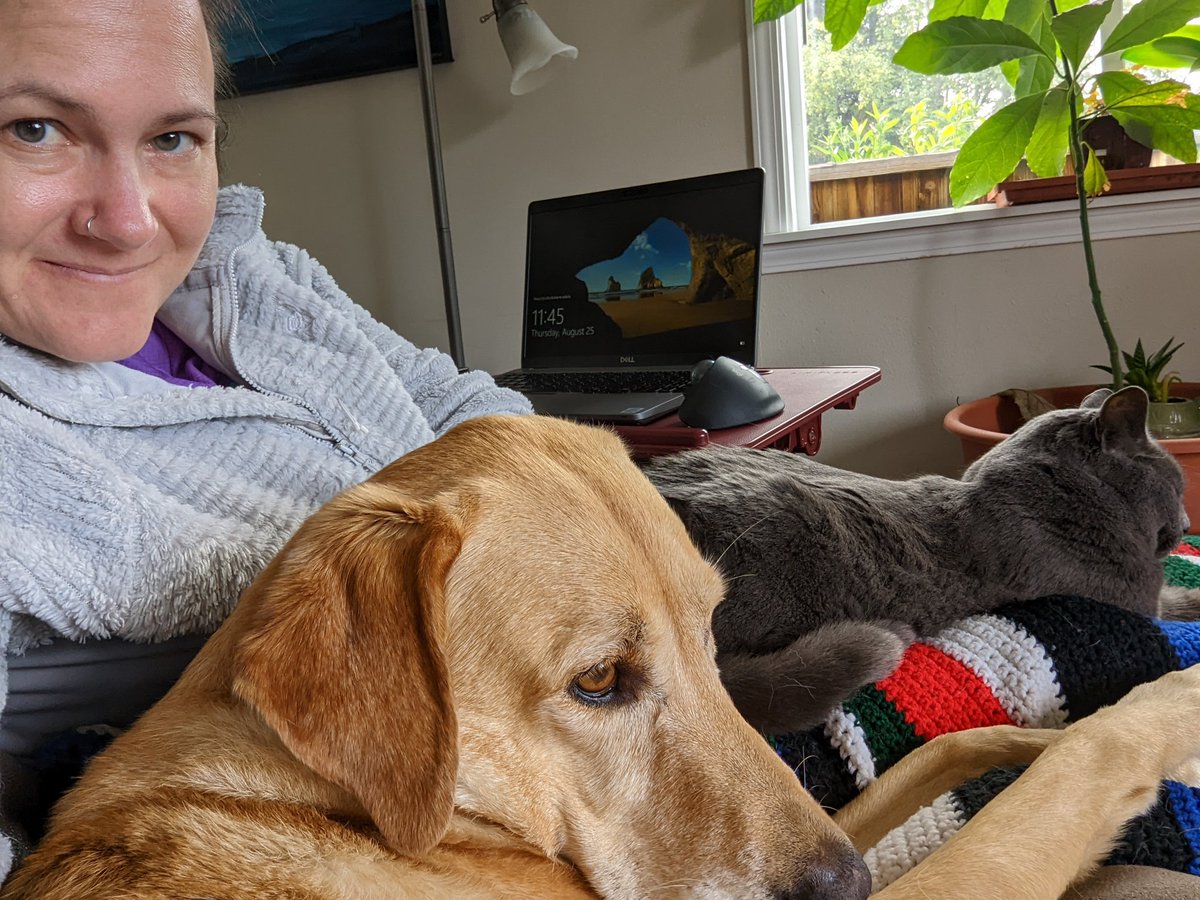 My coworkers are happy to have me back in the office. 🥰 #OfficeofSnuggles