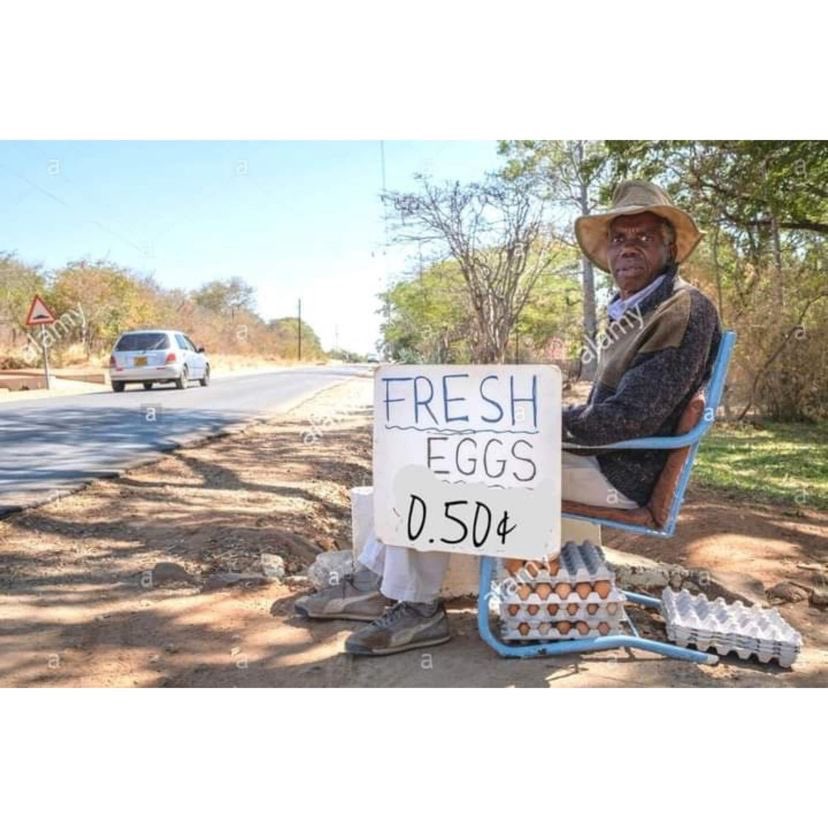 TsifodzeErnest's tweet photo. I read this experience somewhere

𝙑𝙚𝙧𝙮 𝘿𝙚𝙚𝙥 𝙖𝙣𝙙 𝙥𝙧𝙤𝙛𝙤𝙪𝙣𝙙

A Lady asks: "How much do you sell your eggs for?"The old vendor replies "0.50 ¢ an egg, madam" .

The Lady says, I'll take 6 eggs for $2.50 or I'm leaving. https://t.co/ngpikJOt75