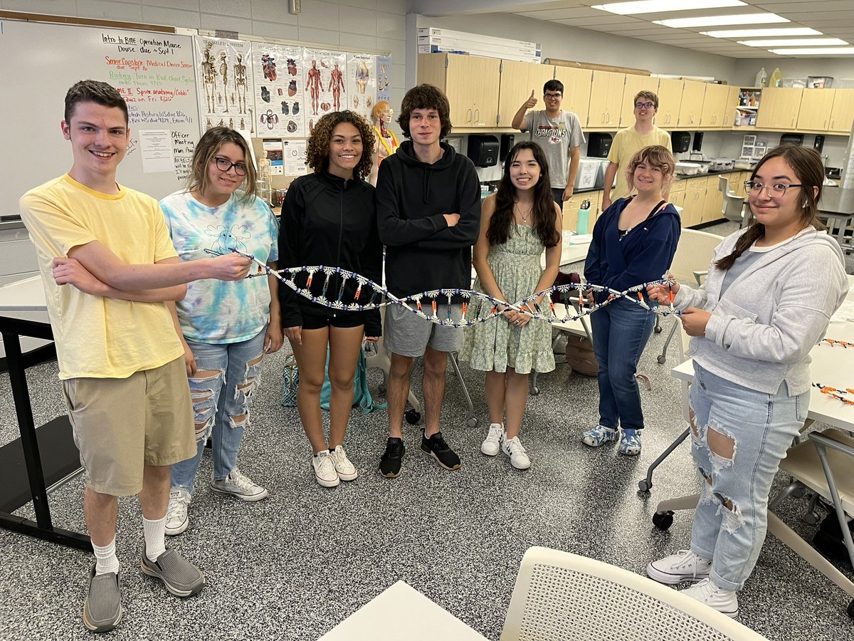 kramshawos's tweet photo. Genetics kids finished their protein synthesis and protein folding review today! We loved using @KNEX to model DNA! #STEM #Genetics #learnbydoing #proteinmodeling @olatheschools @OlatheSouthHS https://t.co/oudvbOnLqk
