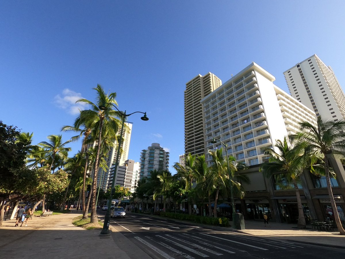 hawaii_isla808's tweet photo. Good morning Waikiki 📸🤙🏼☀️🏖😎🌴❤️☕️ #hawaii #waikiki #sunrisehawaii #alohathursday #luckywelivehawaii https://t.co/pDvIoiXcWQ