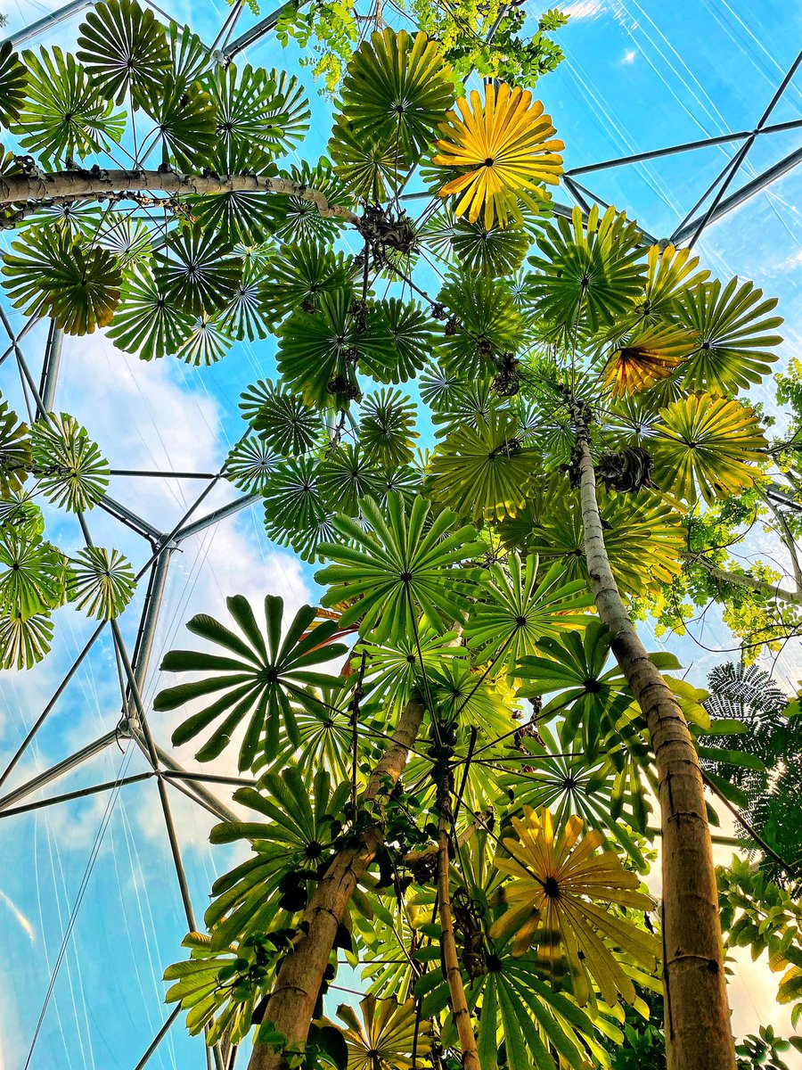 sassy_sony007's tweet photo. Had an amazing time at Eden Project today. What an incredible place! #EdenPhotoComp https://t.co/1at2qkKlpv
