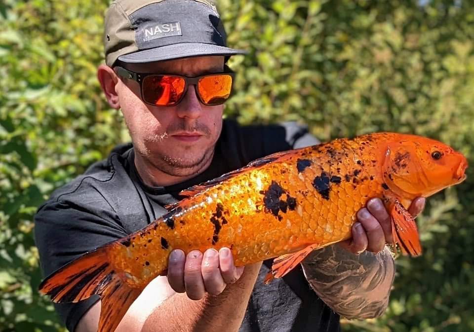 Thank you to Dan &amp; Jemma who stayed with us &amp; shared with us some of their pictures with a lovely message 💖💫

“Just wanted to drop a message to say thanks for an amazing stay. Beautiful place!!!!”

Happy Summer Holidays from us all at Anglers Paradise 🤗
#HappyHolidays