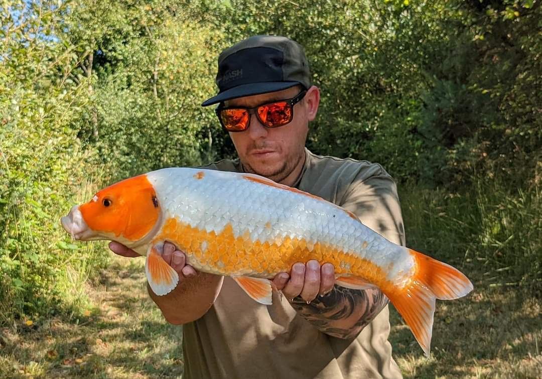 Anglers Paradise Devon tweet media