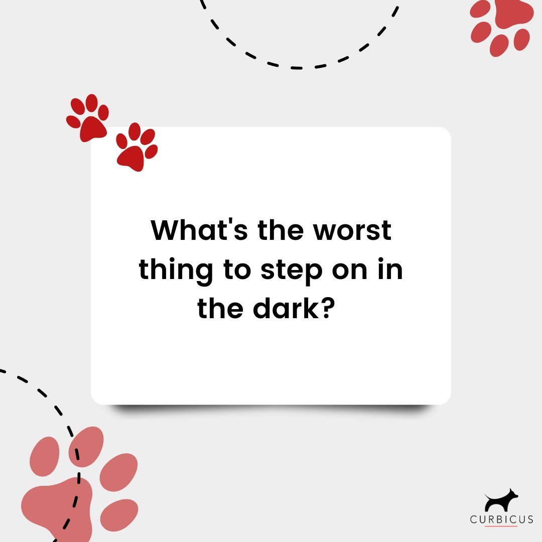 Curbicus tweet media