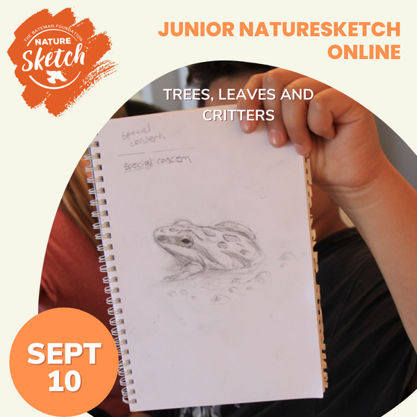 batemanfdn's tweet image. We have another new workshop to encourage budding artists from the comfort of your home! Enjoy a 4-week drawing and eco-literacy course using Robert Bateman&apos;s techniques and philosophy (for 5+).

Sign up today at ow.ly/9cQh50Klm4F

#NatureSketch #artinnature #learntosketch