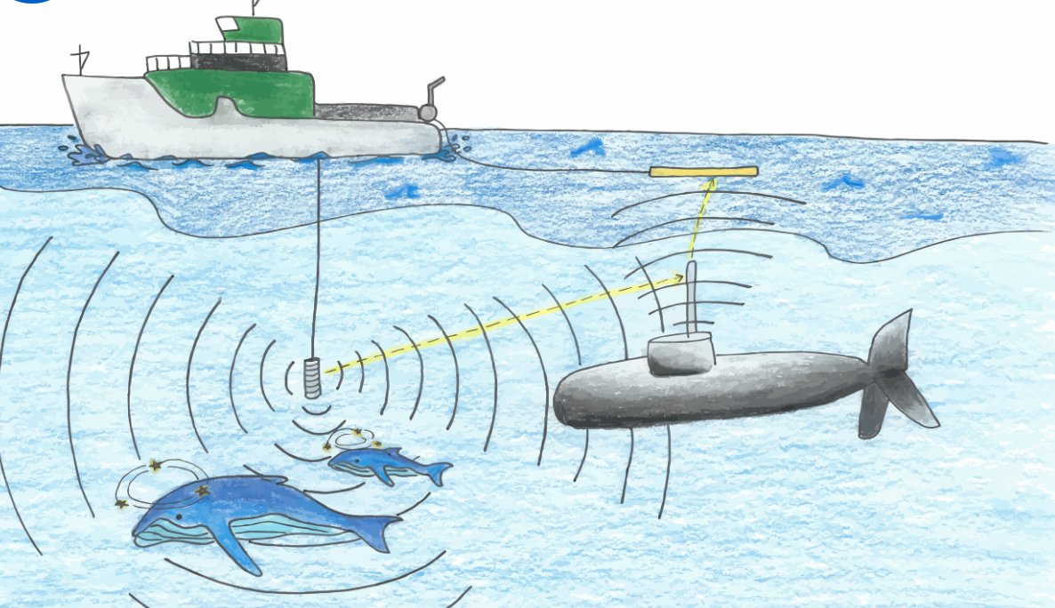janaschmidtt's tweet photo. If we are able to redesign the way that vessels are made so that the noise they give off doesn't effect ocean life it would make a huge difference. #39canimals https://t.co/X05bag0FGb