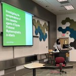 Photo by Dr. Ashley Whitehead (@ashleydvm)